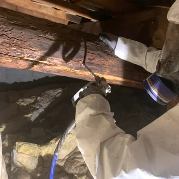 Pulvérisation du traitement sur une poutre de charpente
